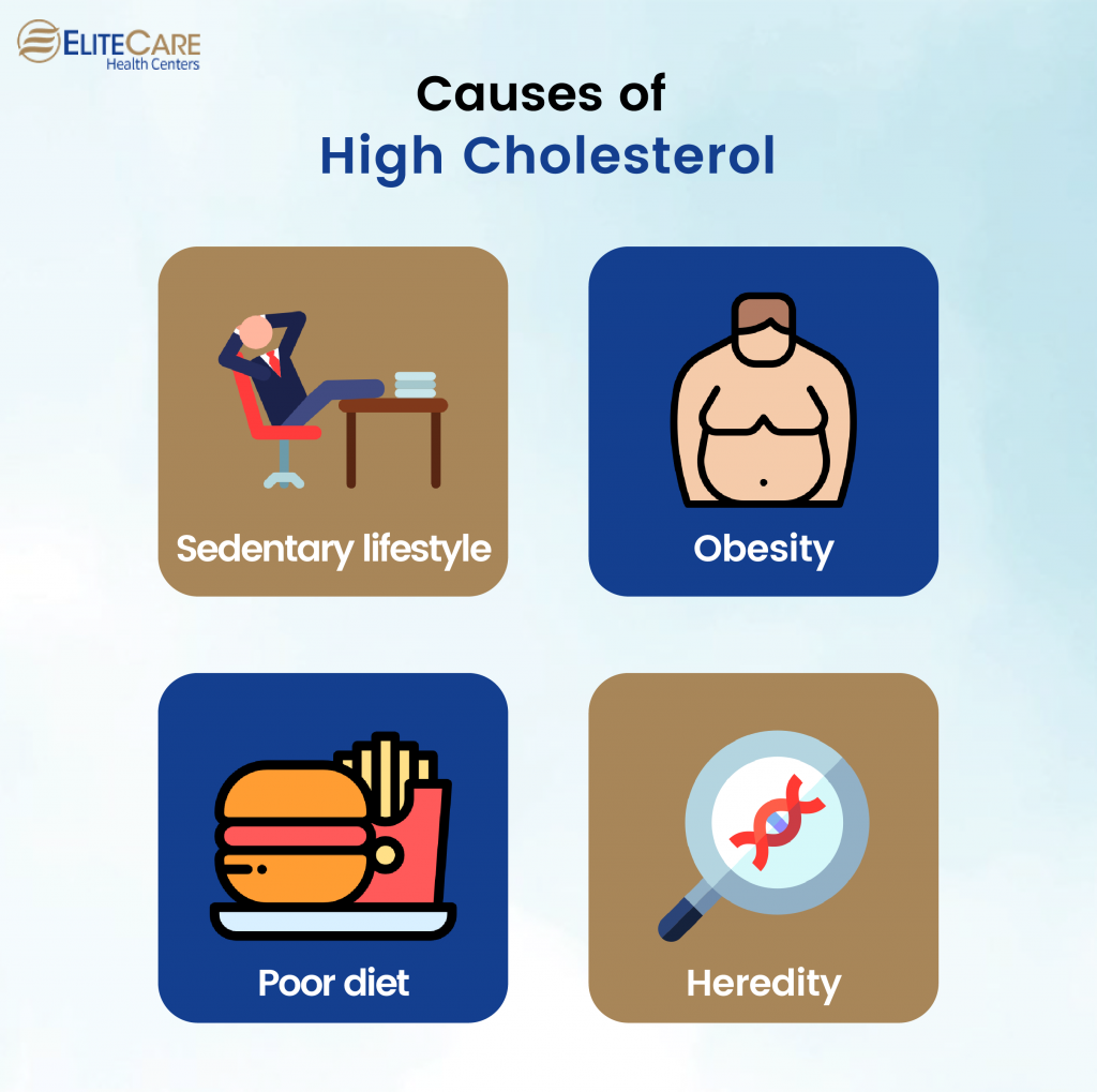 Easy Lifestyle Changes to Manage High Cholesterol in Seniors | EliteCare